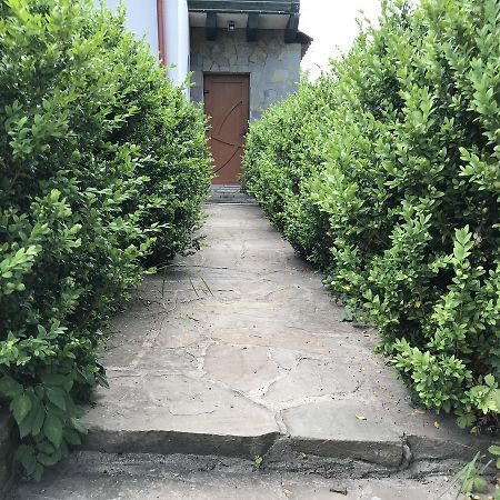 Cottage Shchaslyvyi ヤレムチャ エクステリア 写真