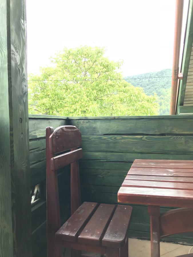 Cottage Shchaslyvyi ヤレムチャ エクステリア 写真