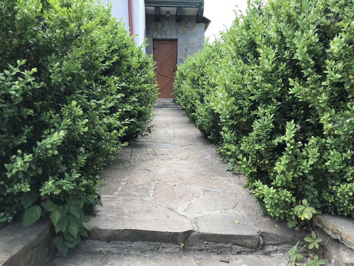 Cottage Shchaslyvyi ヤレムチャ エクステリア 写真