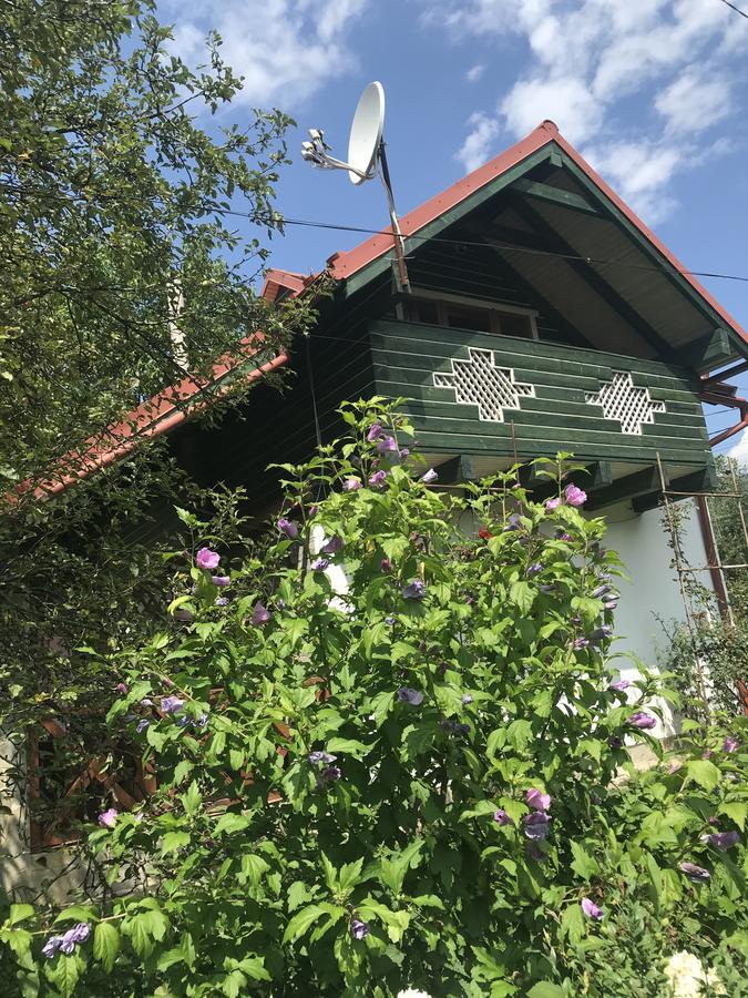 Cottage Shchaslyvyi ヤレムチャ エクステリア 写真